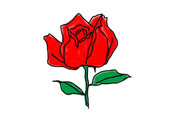 玫瑰花简笔画简单又漂亮