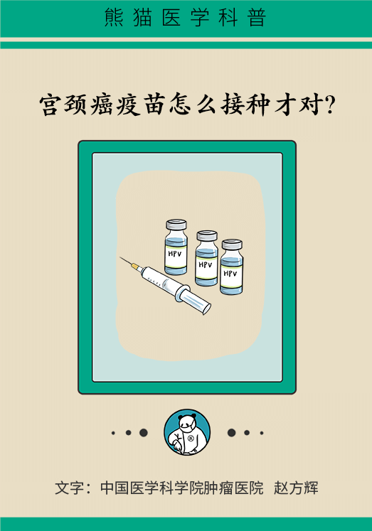 hpv宫颈癌医学科普