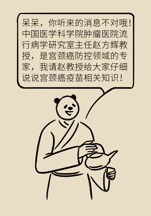 hpv宫颈癌医学科普