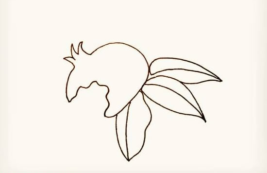 石榴简笔画简单画法步骤图片大全