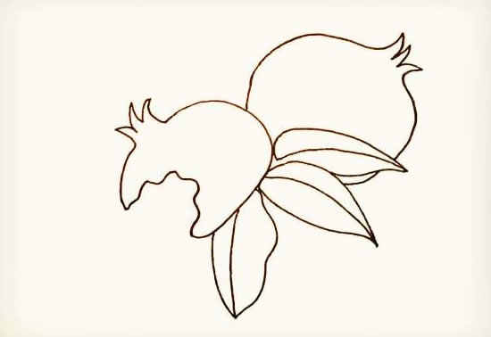石榴简笔画简单画法步骤图片大全