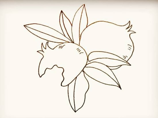 石榴简笔画简单画法步骤图片大全