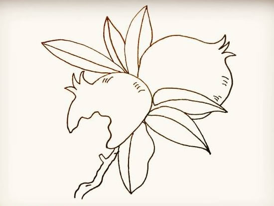 石榴简笔画简单画法步骤图片大全
