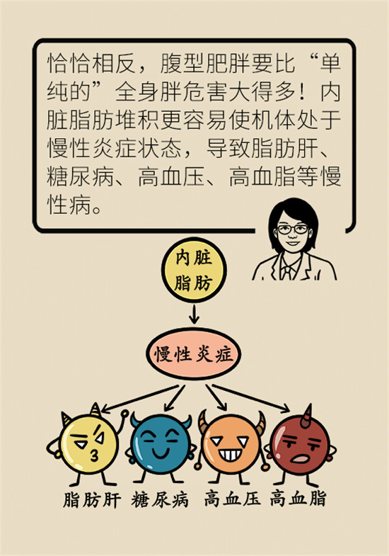 减肥医学科普动漫制作