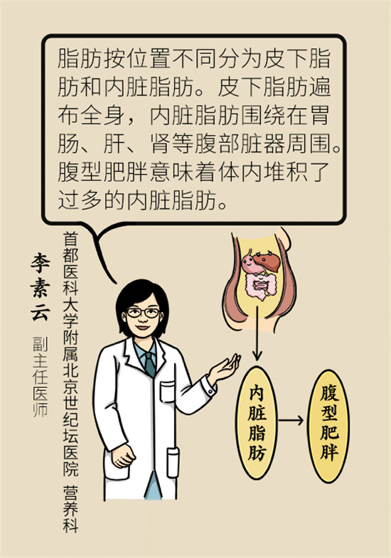 减肥医学科普动漫制作