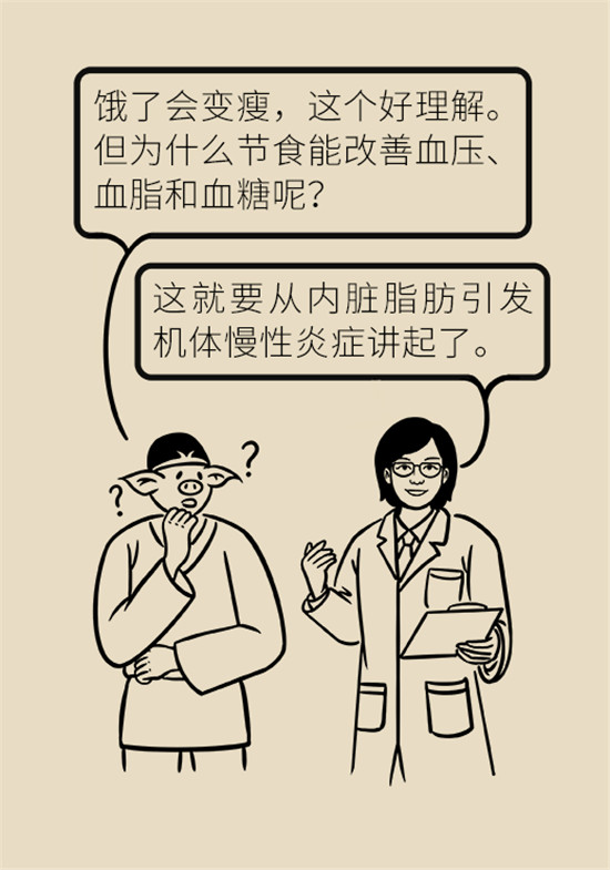 减肥医学科普动漫制作