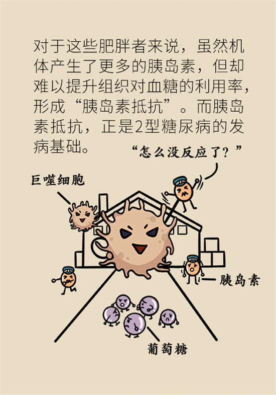 减肥医学科普动漫制作