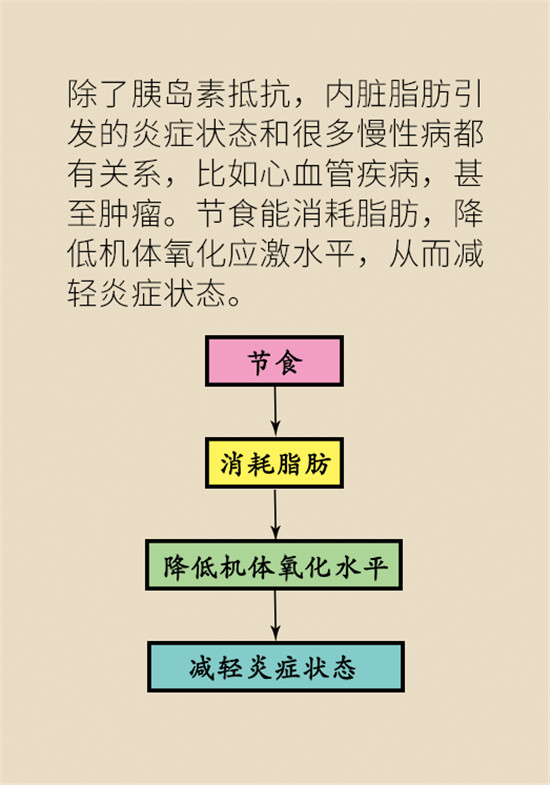减肥医学科普动漫制作