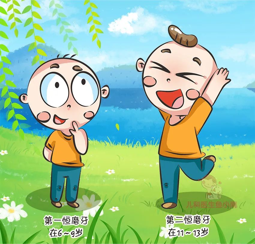 牙齿医学科普动漫