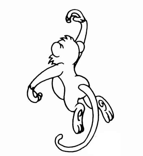 儿童猴子简笔画图片大全