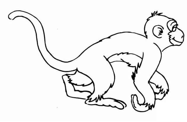 儿童猴子简笔画图片大全