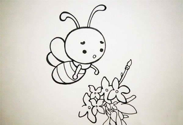 蜜蜂采蜜的简笔画_蜜蜂采蜜的简笔画怎么画