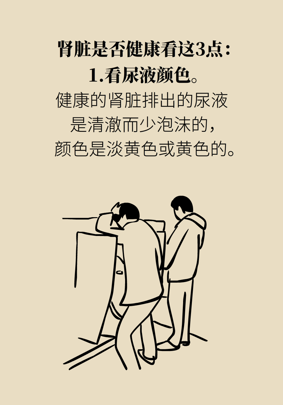 医学肾知识科普