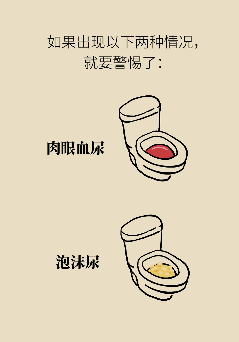 医学肾知识科普