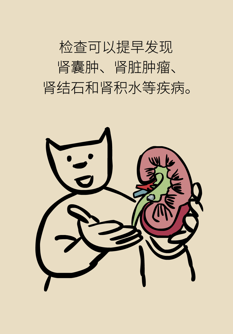 医学肾知识科普