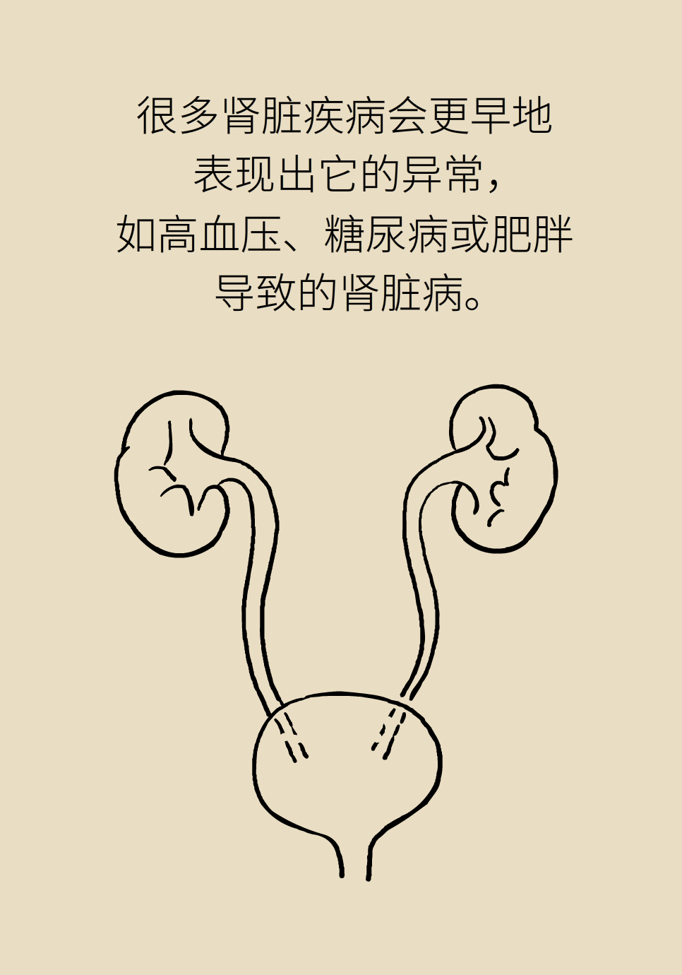 医学肾知识科普