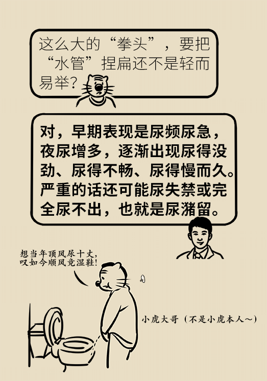 前列腺医学知识科普