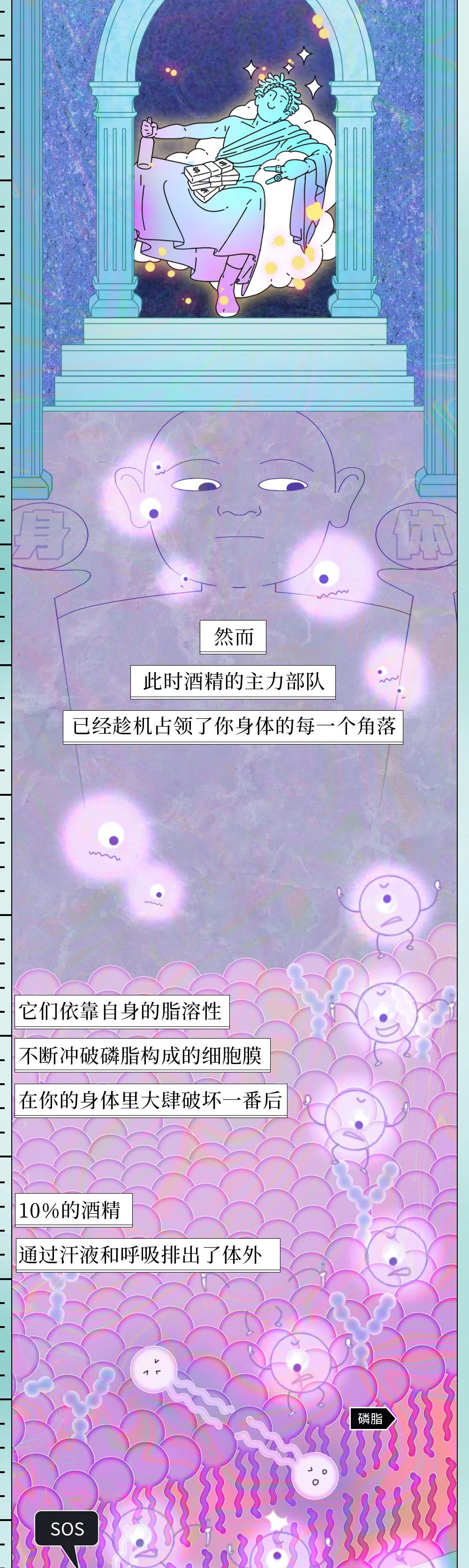 酒精医学知识科普动漫制作