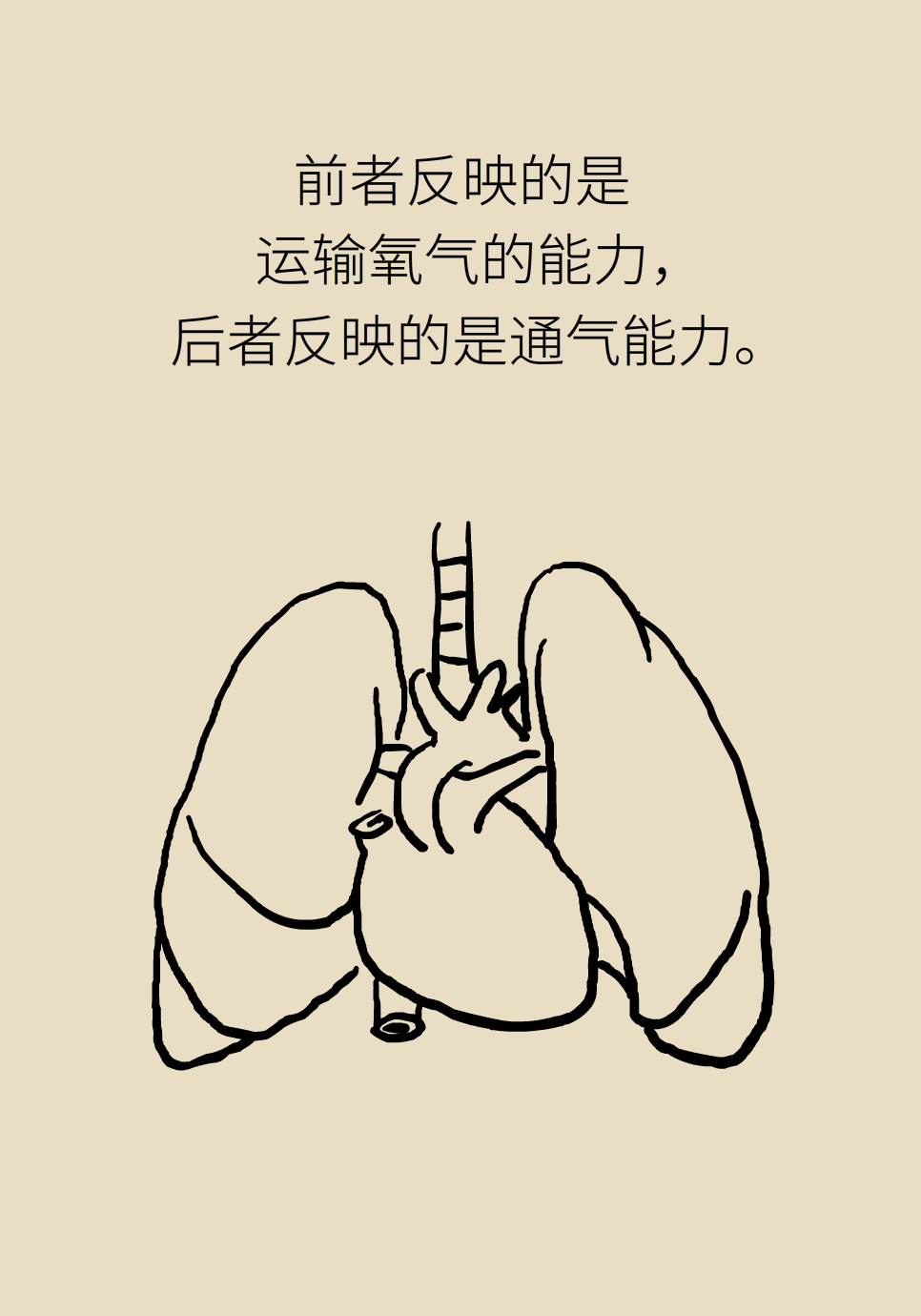心肺耐力医学知识科普3秒就不行你的心肺耐力行不行