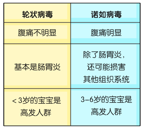 医学诺如病毒科普动漫制作