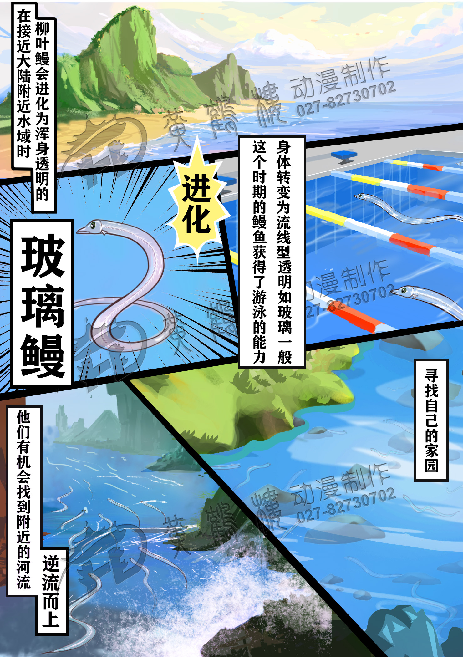 柳叶鳗期(Leptocephalus).jpg 柳叶鳗期(Leptocephalus).jpg