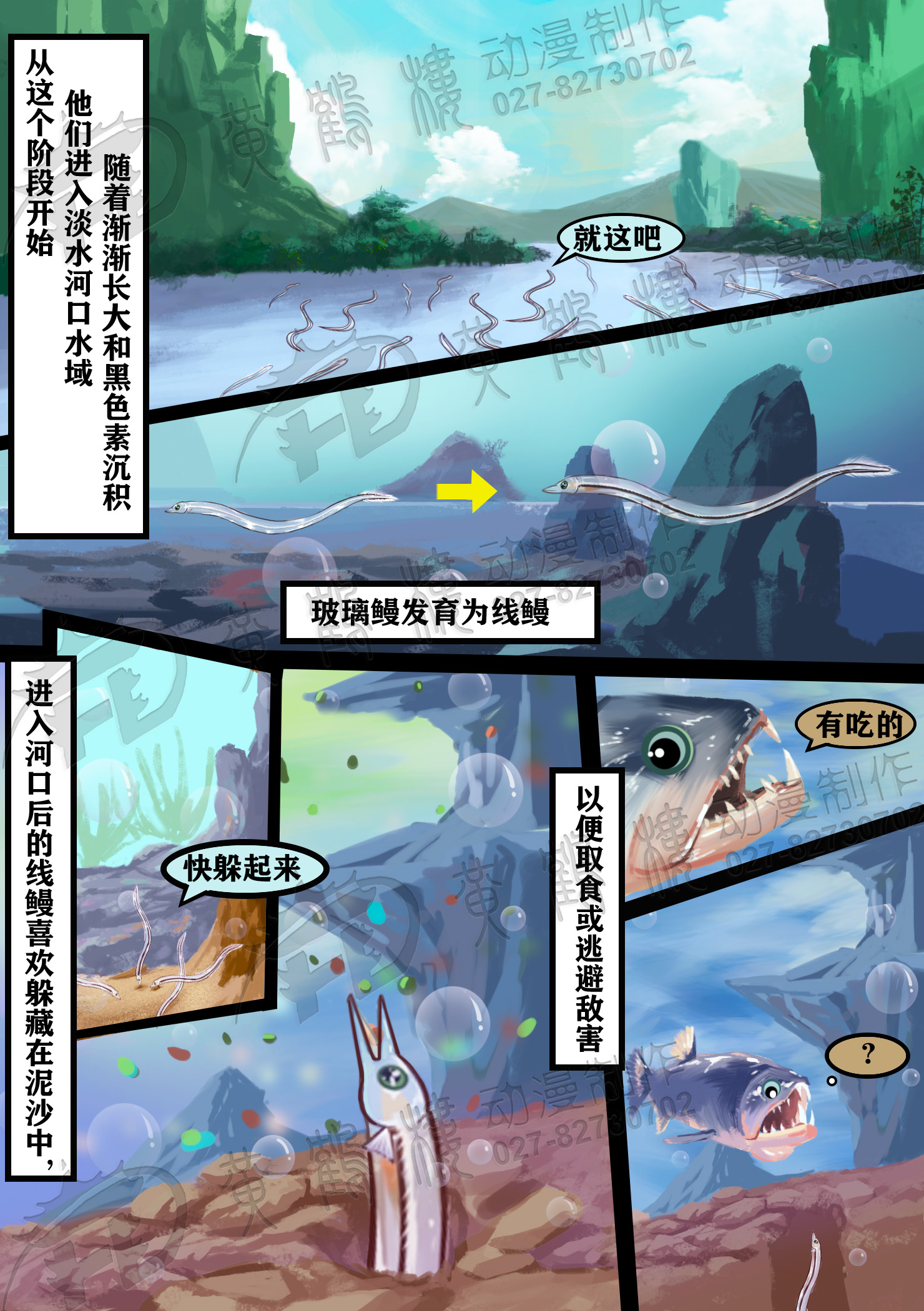 玻璃鳗期(Glass eel).jpg 玻璃鳗期(Glass eel).jpg