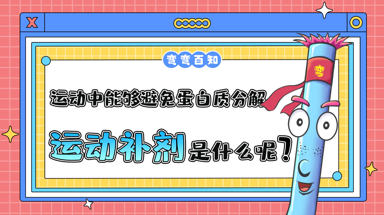 运动中能够避免蛋白质分解的运动补剂是什么呢？.jpg