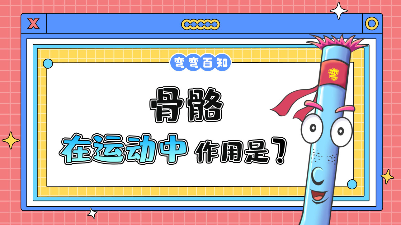 骨骼在运动中的作用是什么呢？.jpg