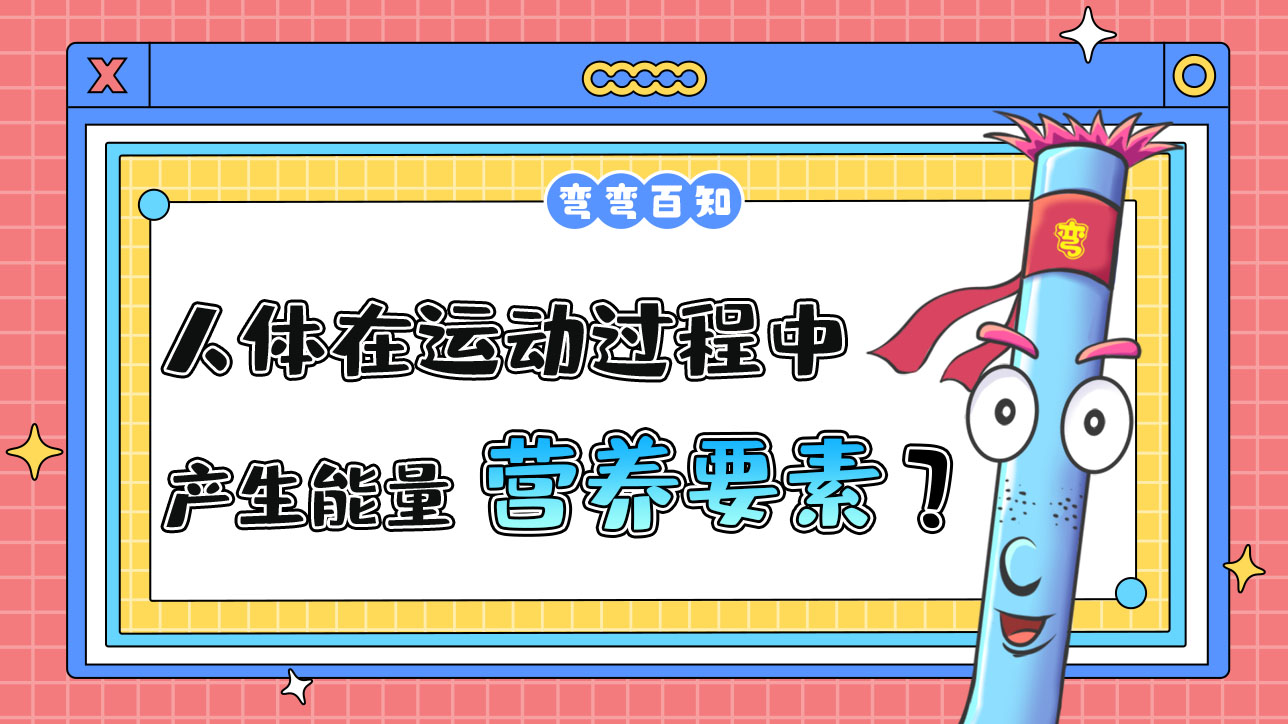 人体在运动过程中产生能量的营养要素有几种？.jpg