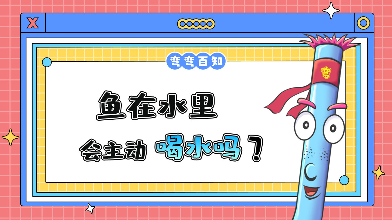 鱼在水里会主动喝水吗？.jpg