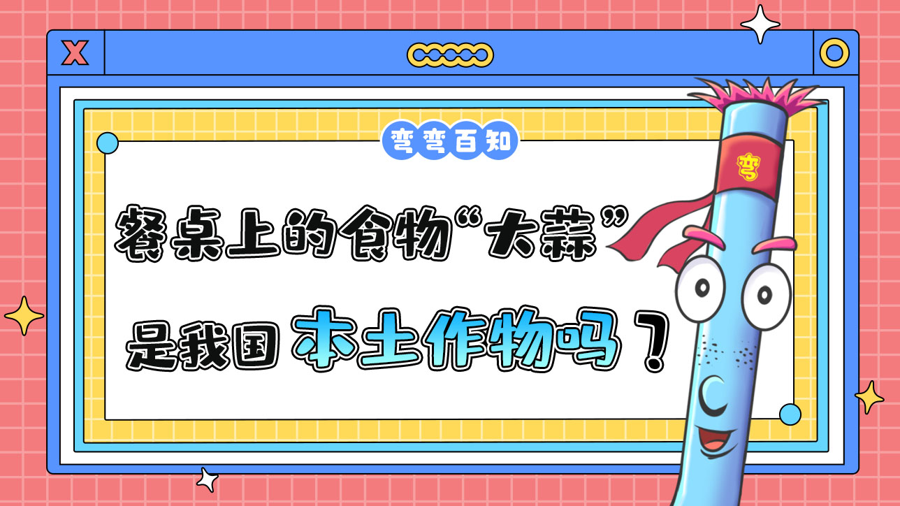 餐桌上的常见食物“大蒜”是我国本土作物吗？.jpg