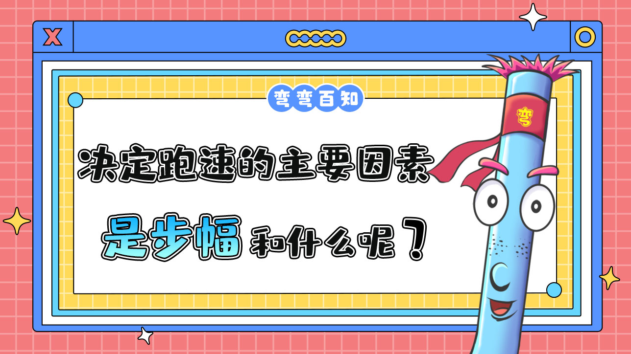 决定跑速的主要因素是步幅和什么？.jpg