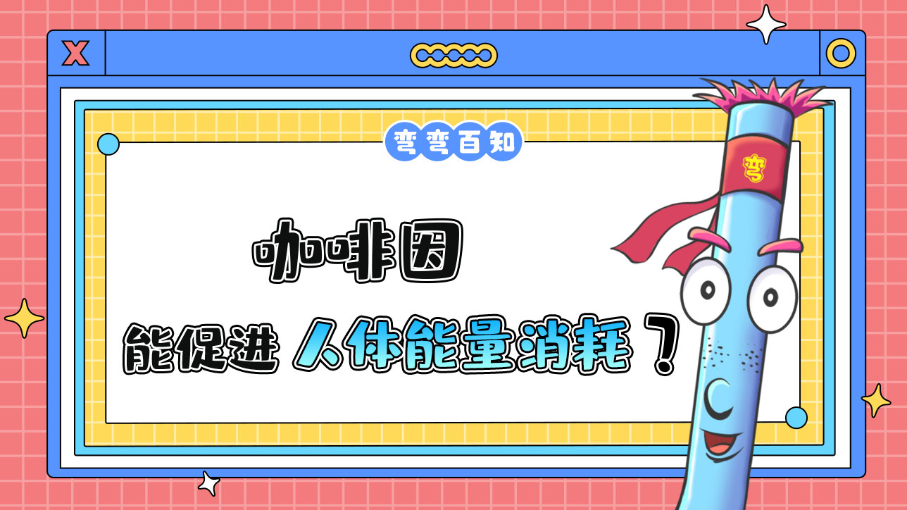 咖啡因能促进人体的能量消耗吗？.jpg