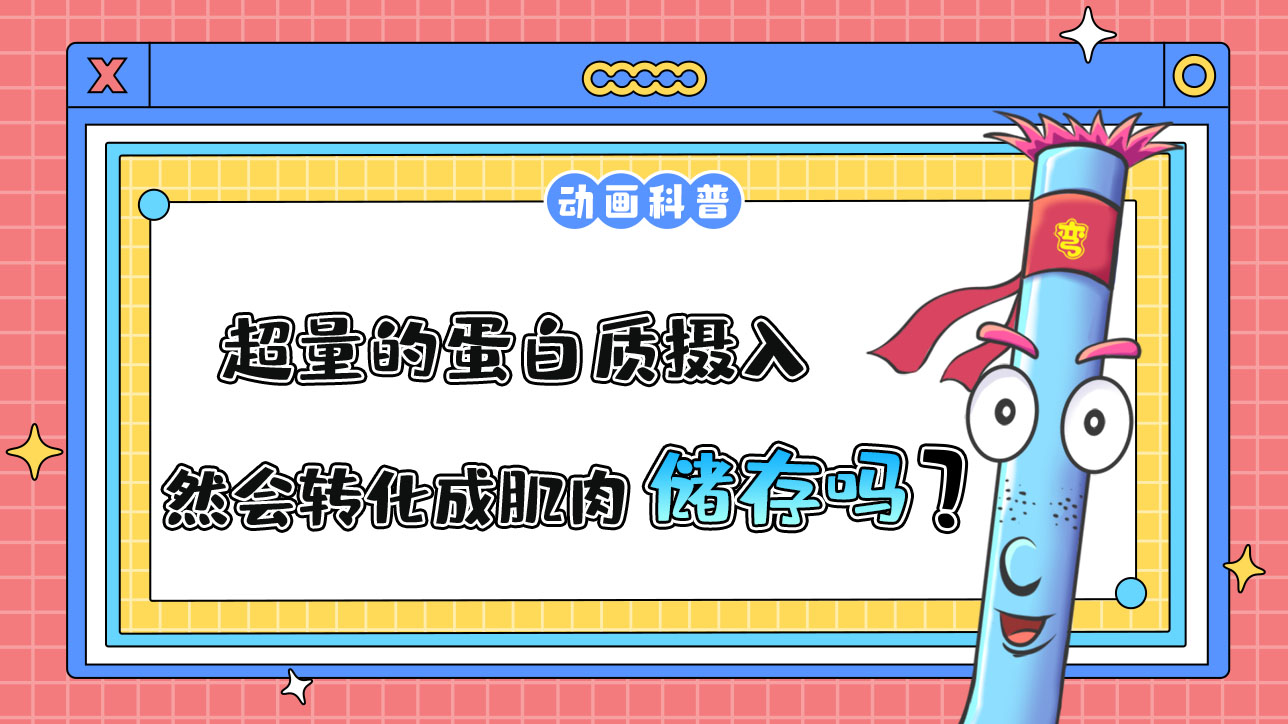 超量的蛋白质摄入后依然会转化成肌肉储存在体内吗？.jpg