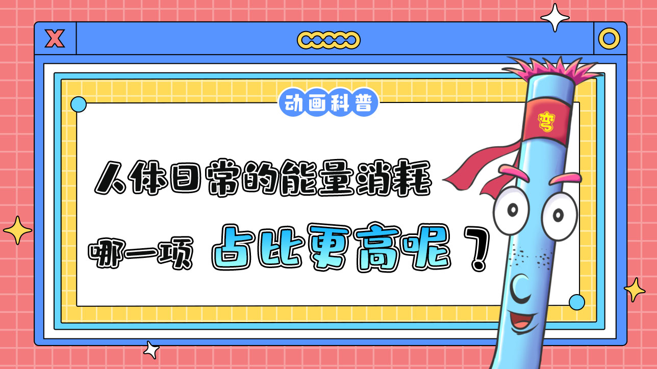在人体日常的能量消耗中通常哪一项占比更高呢？.jpg