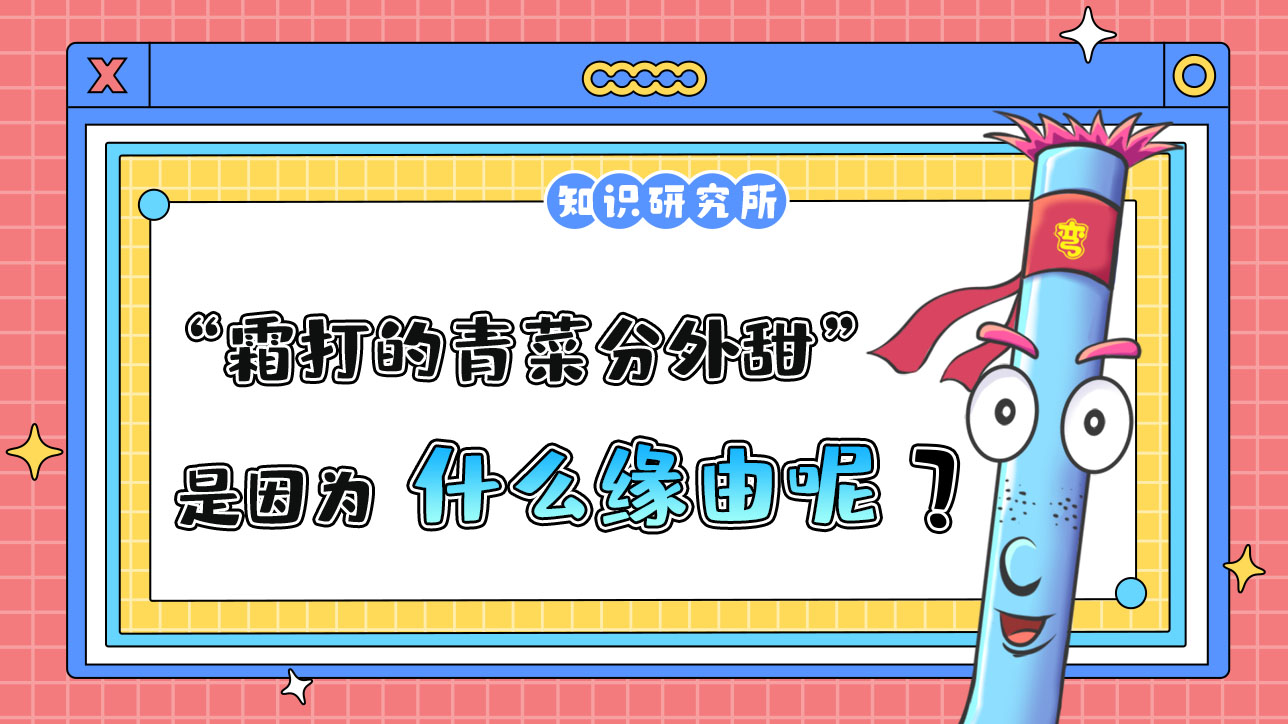 俗话说“霜打的青菜分外甜”，是因为什么呢？.jpg