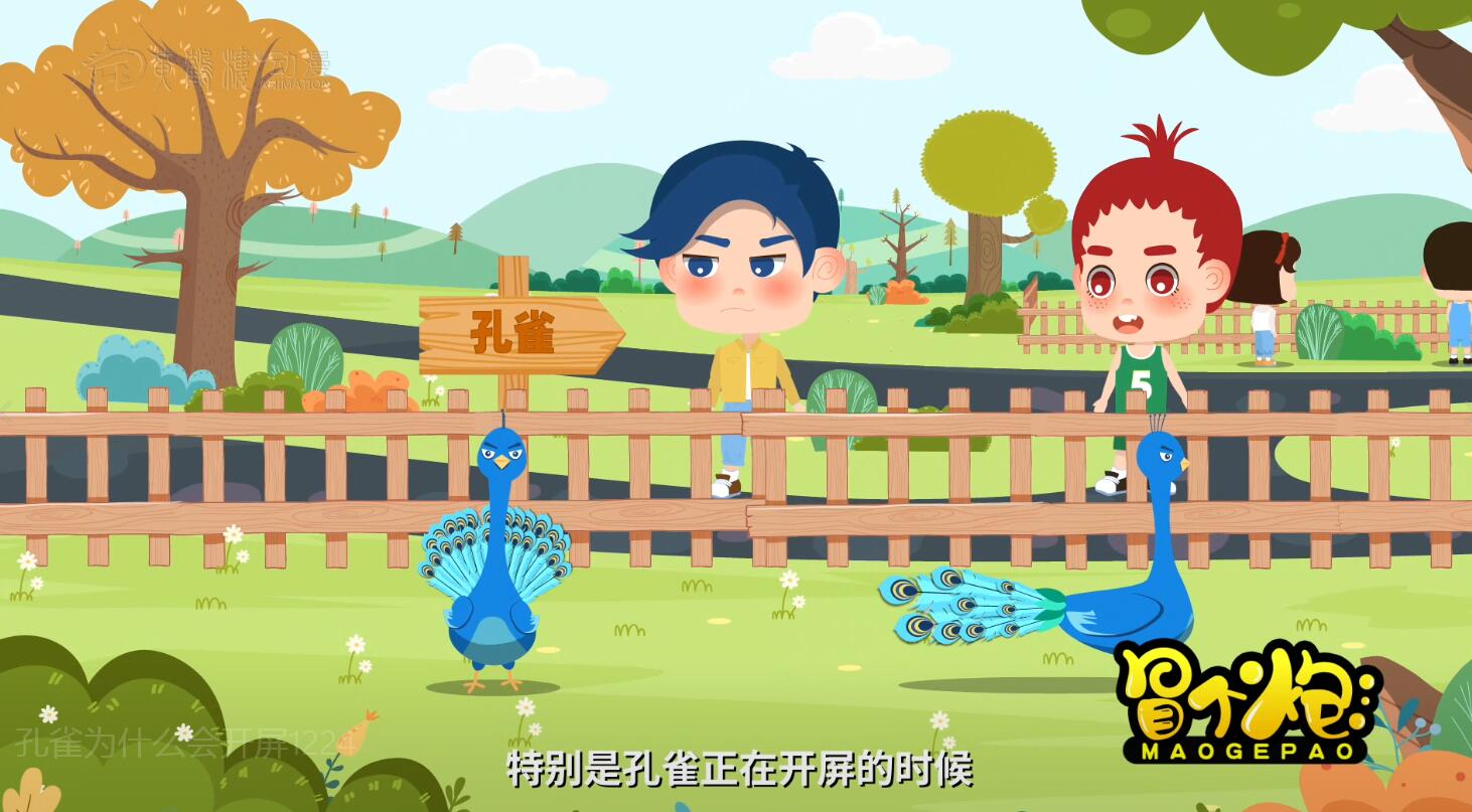 孔雀开屏.jpg