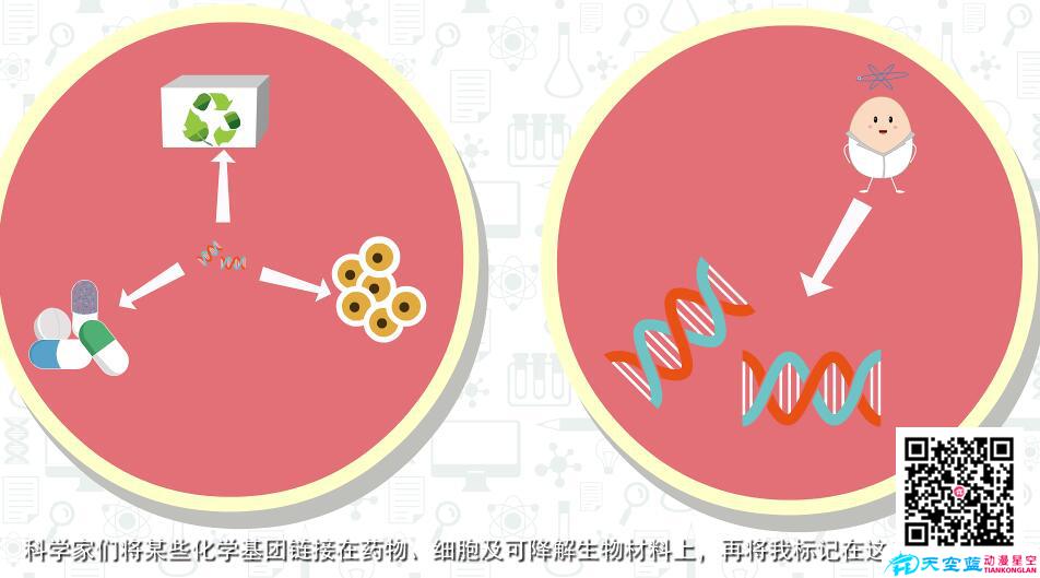 医学动画公司