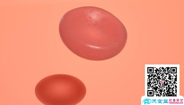 血细胞.jpg