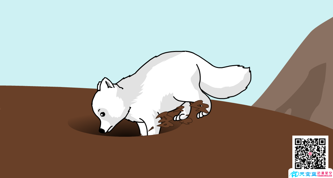 为什么北极狐喜欢挖地窖.png