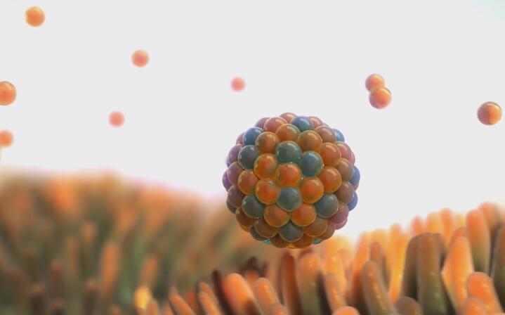 「动画制作」HBV免疫细胞医学医疗动画制作2.jpg