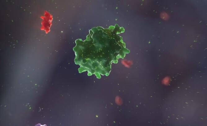 「动画制作」HBV免疫细胞医学医疗动画制作.jpg