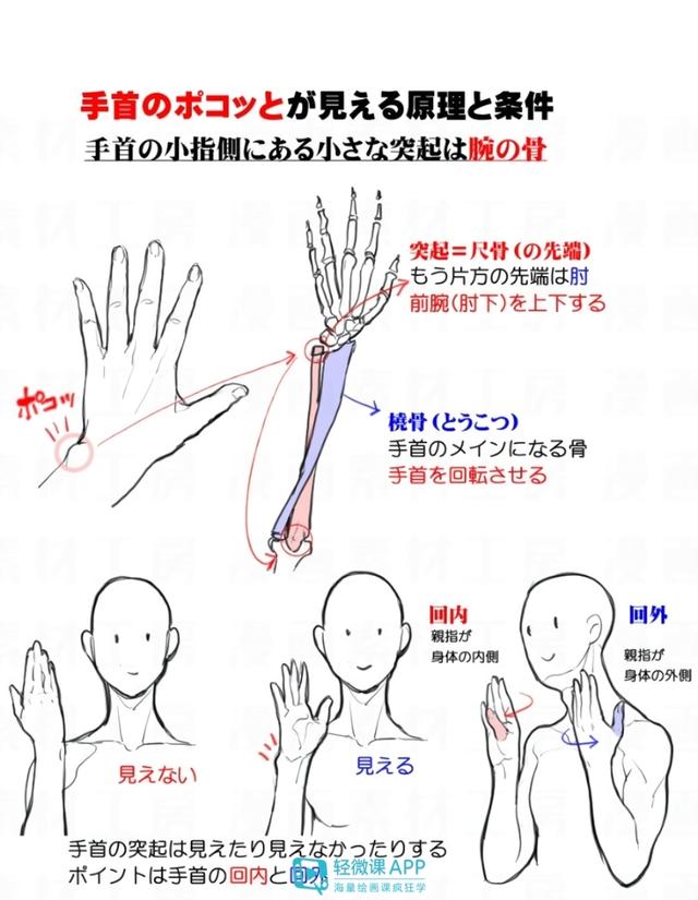 黄鹤楼动漫