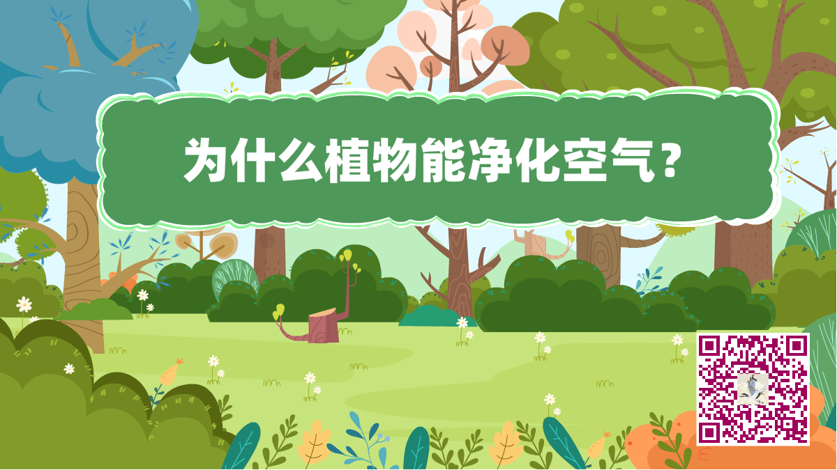 十万个为什么标题（植物净化空气）1200.png