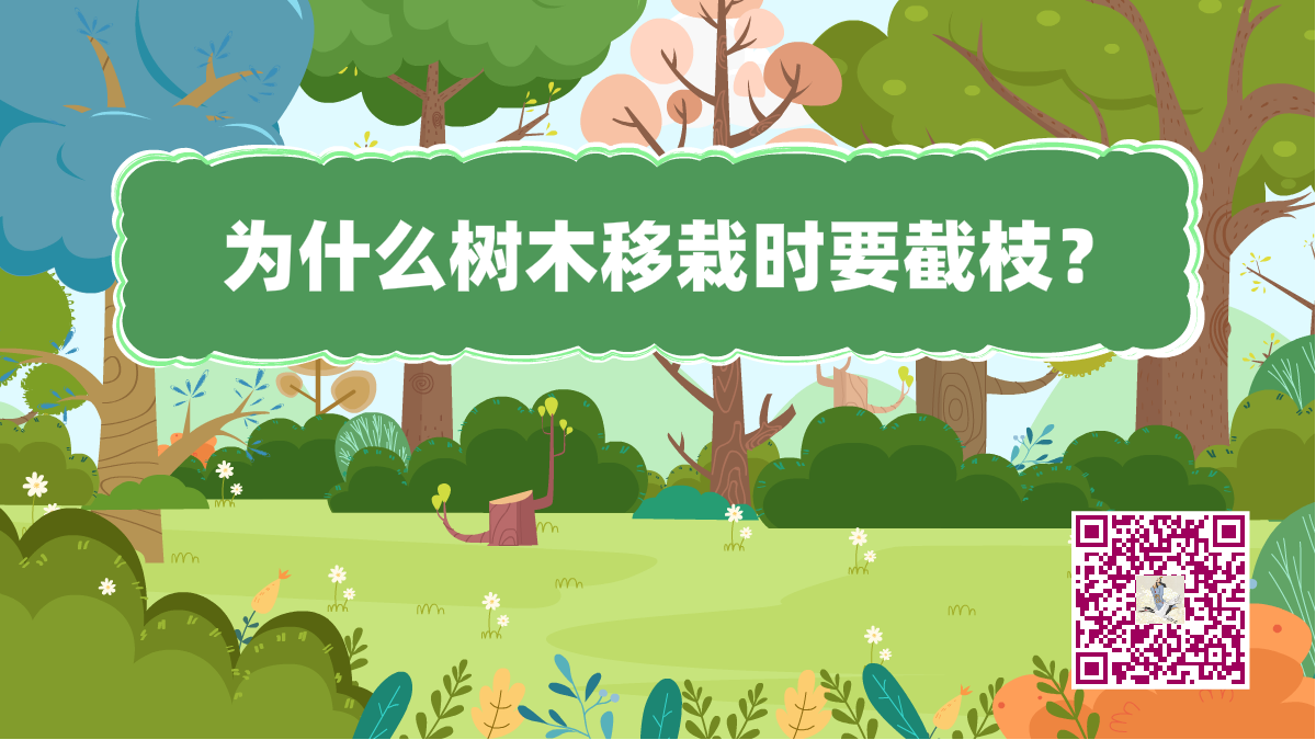 十万个为什么标题(树木移栽时要截枝)1200.png 十万个为什么标题(树木移栽时要截枝)1200.png