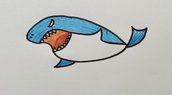 六、用橙色填充嘴部，凶猛的鲨鱼就画好了。.jpg