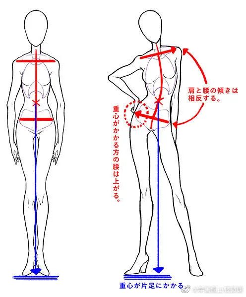 人体动势线与姿势参考，学画画收藏不亏