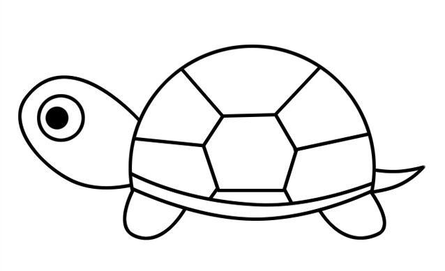 爬行的小乌龟简笔画怎么画？简笔画小乌龟的画法步骤教程.jpg