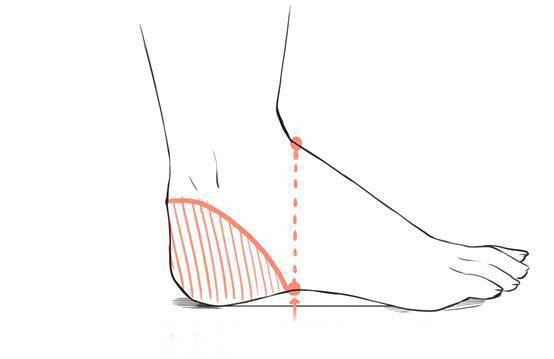 另外,脚底板最凹陷的地方是脚背最上面,从脚趾的位置开始垂直的地方，这个凹陷一直到脚后跟。.jpg