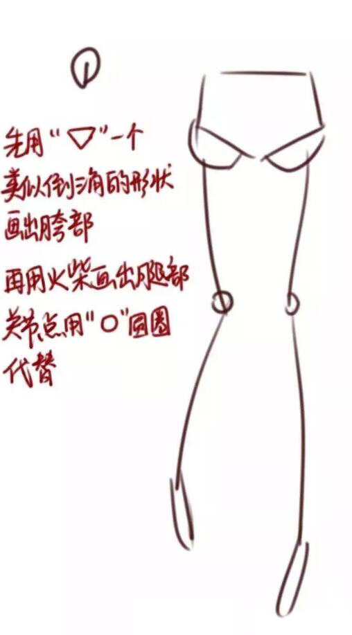 腿部教程（女性）大腿结构画法教程.jpg